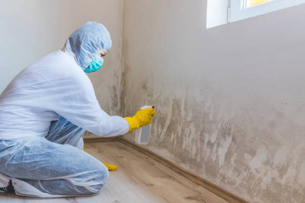 Professional mold removal team in National Park