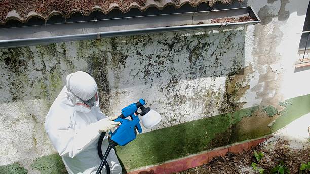 Mold Removal service in National Park